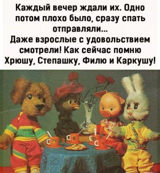 Каждый вечер ждали их Одно потом плохо было сразу спать отправляли даже взрослые удовольствием смотрели Как сейчас помню Хрюшу Степашку_ Филю и Каркушу
