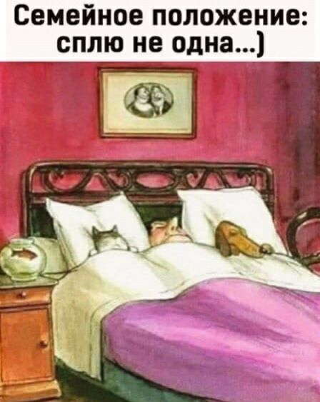 Семейное положение сплю не одна
