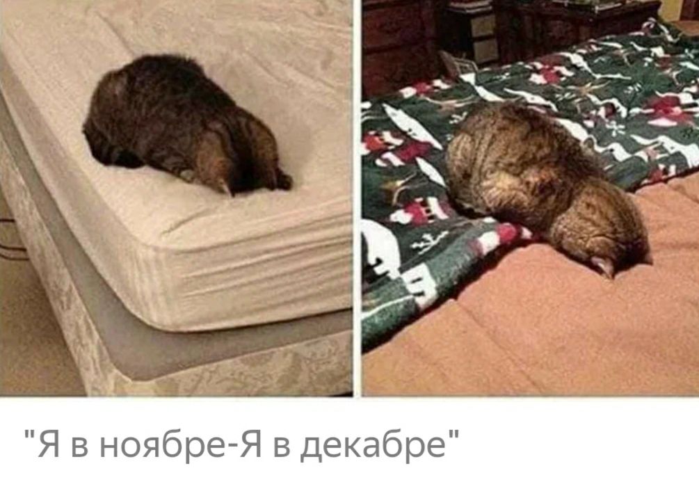 Я в ноябре Я в декабре