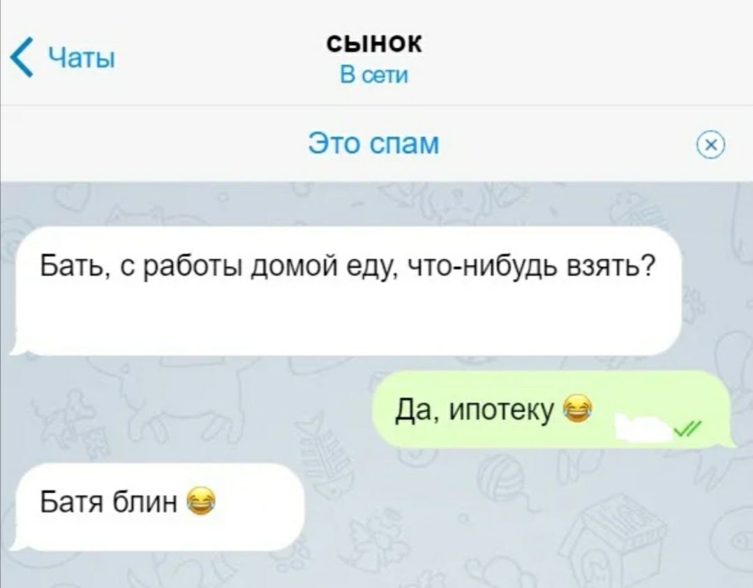 Чаты СЫНОК В сети Это спам Бать с работы домой еду что нибудь взять Да ипотеку Батя блин О