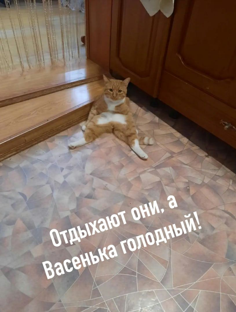 А авь зю ъ