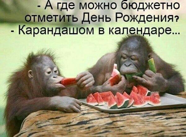 А где можно бюджетно ет день Рожденияэ аран м в кап н аре