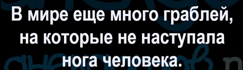 В мире еще много граблей на которые не наступала нога человека