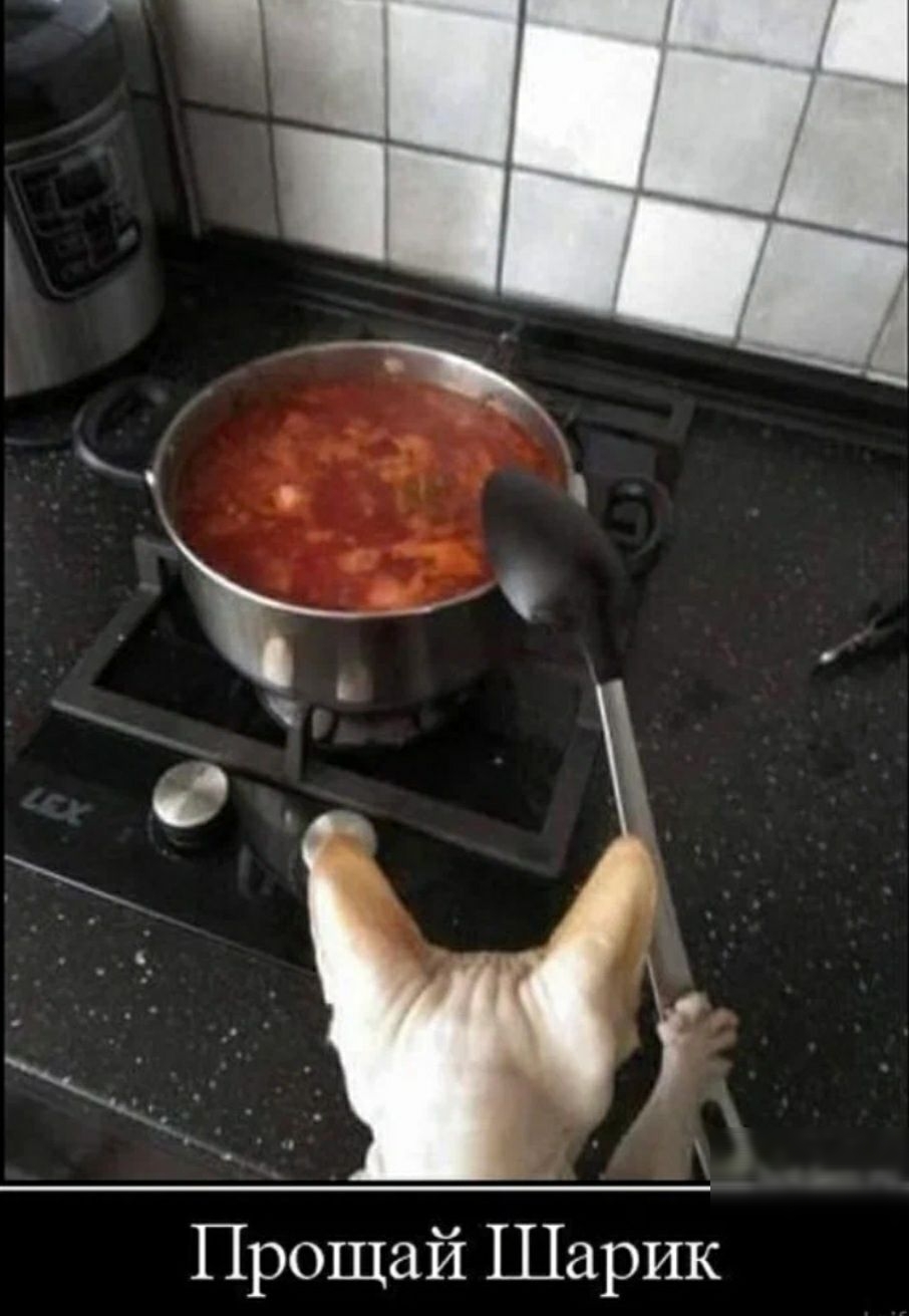 Прощай Шарик