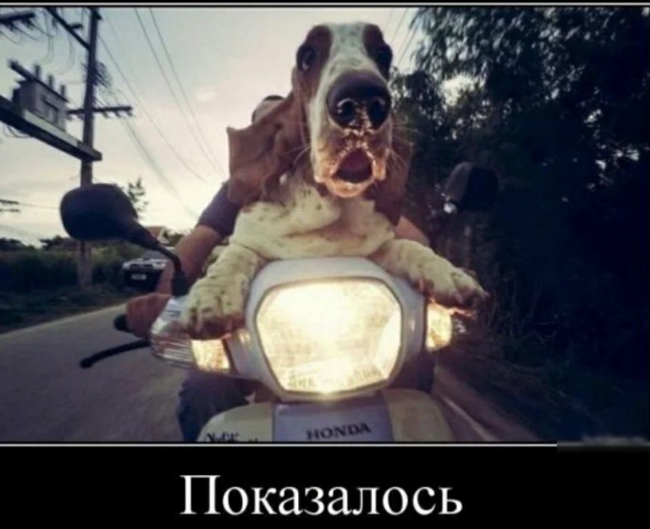 Показалось