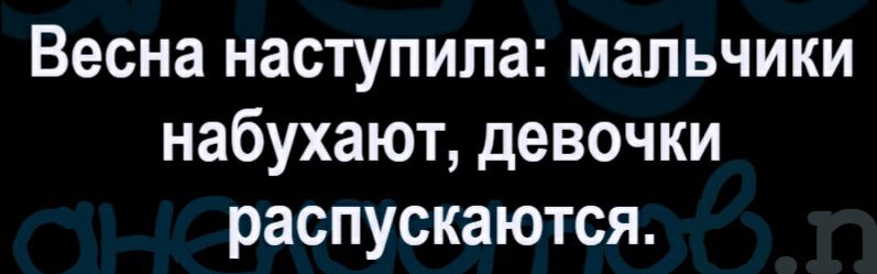 Весна наступила мальчики набухают девочки распускаются