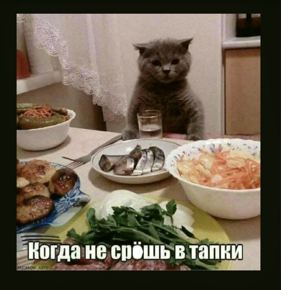 ЕКШ да не ВПОШЕВ ШПИИ Щііь въ