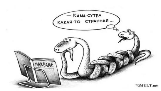 КАИА сутрд кдкн то сп мдя