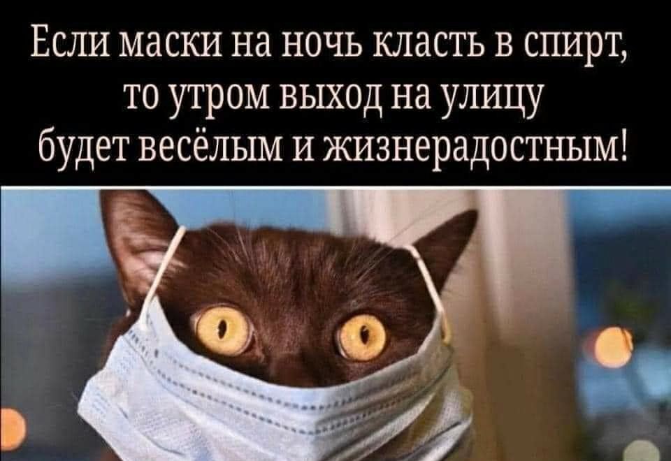 Если маски на ночь класть в спирт то утром выход на улицу будет весёлым и жизнерадостным