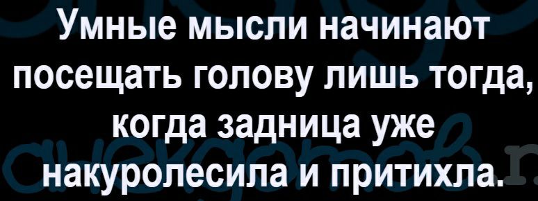 Умные мысли начинают посещать голову лишь тогда когда задница уже накуропесипа и притихла