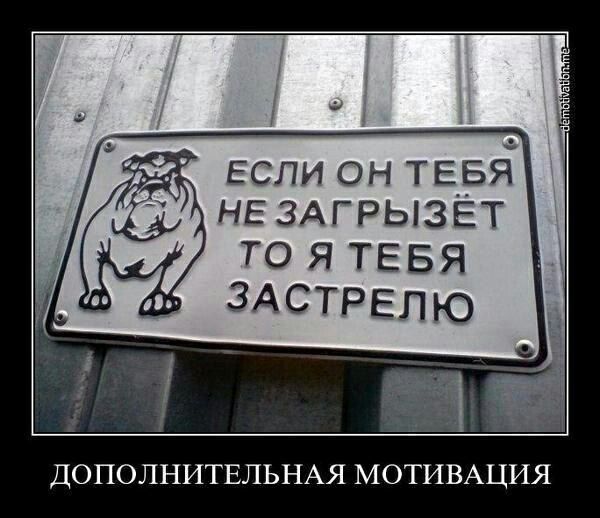 ЕСЛИ он ТЕБЯ НЕ ЗАГРЫЗЕТ ТО Я ТЕБЯ ЗАСТРЕЛЮ ДОПОЛНИТЕЛЬНАЯ МОТИВАЦИЯ