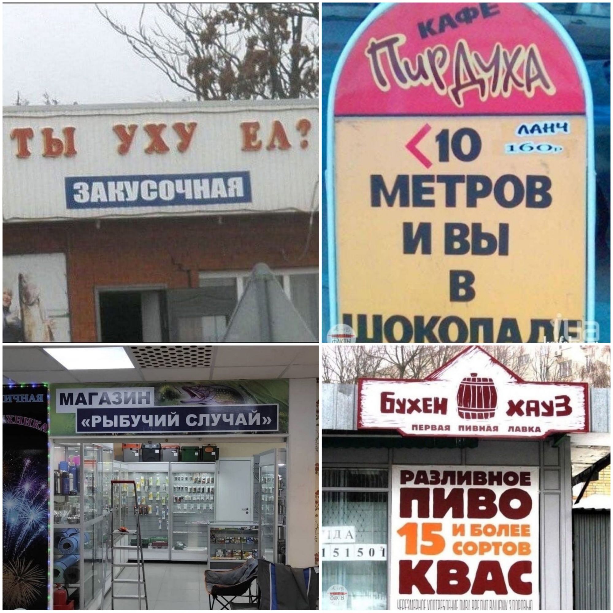 И БОЛЕЕ СОРТОВ