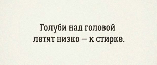 Голуби над головой летят низко к стирке