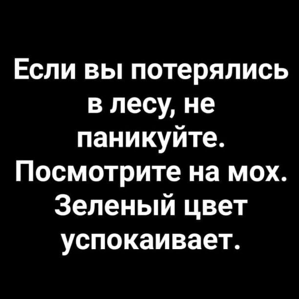 Если вы потерялись в лесу не паникуйте Посмотрите на мох Зеленый цвет успокаивает