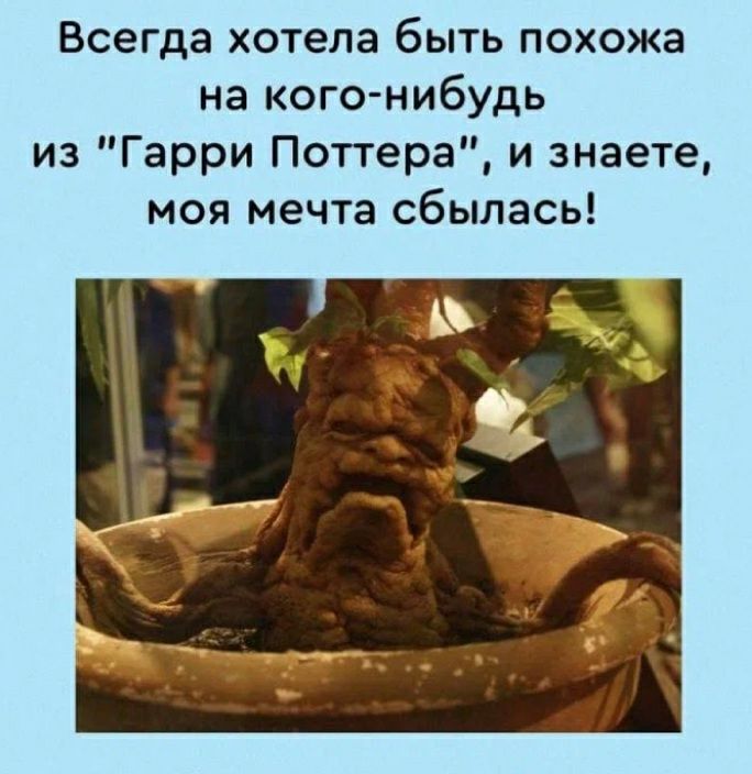 Всегда хотела быть похожа на кого нибудь из Гарри Поттера и знаете моя мечта сбылась
