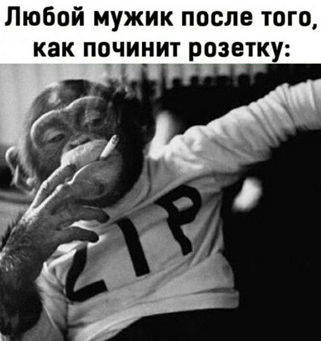 Любой мужик после того как починит розетку _ д _
