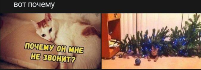 ВОТ почему