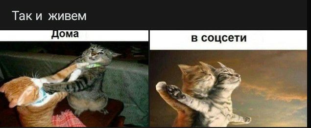 Так и живем В соцсети