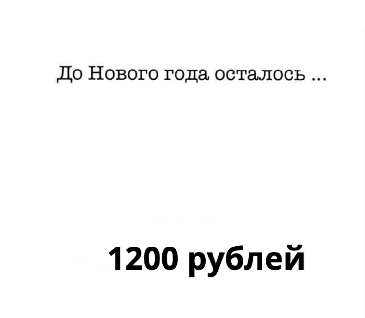 До Нового гоца осталось 1 200 рублей