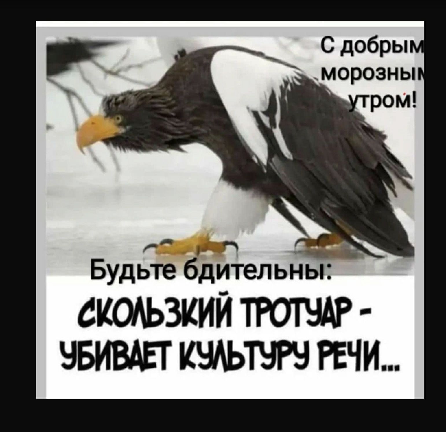 С добры морозны Будьте бдИтельны СКОАЬЗКИЙ ТРОТЧАР ЧБИВАЕТ КЧАЬТЧРЧ РЕЧИ