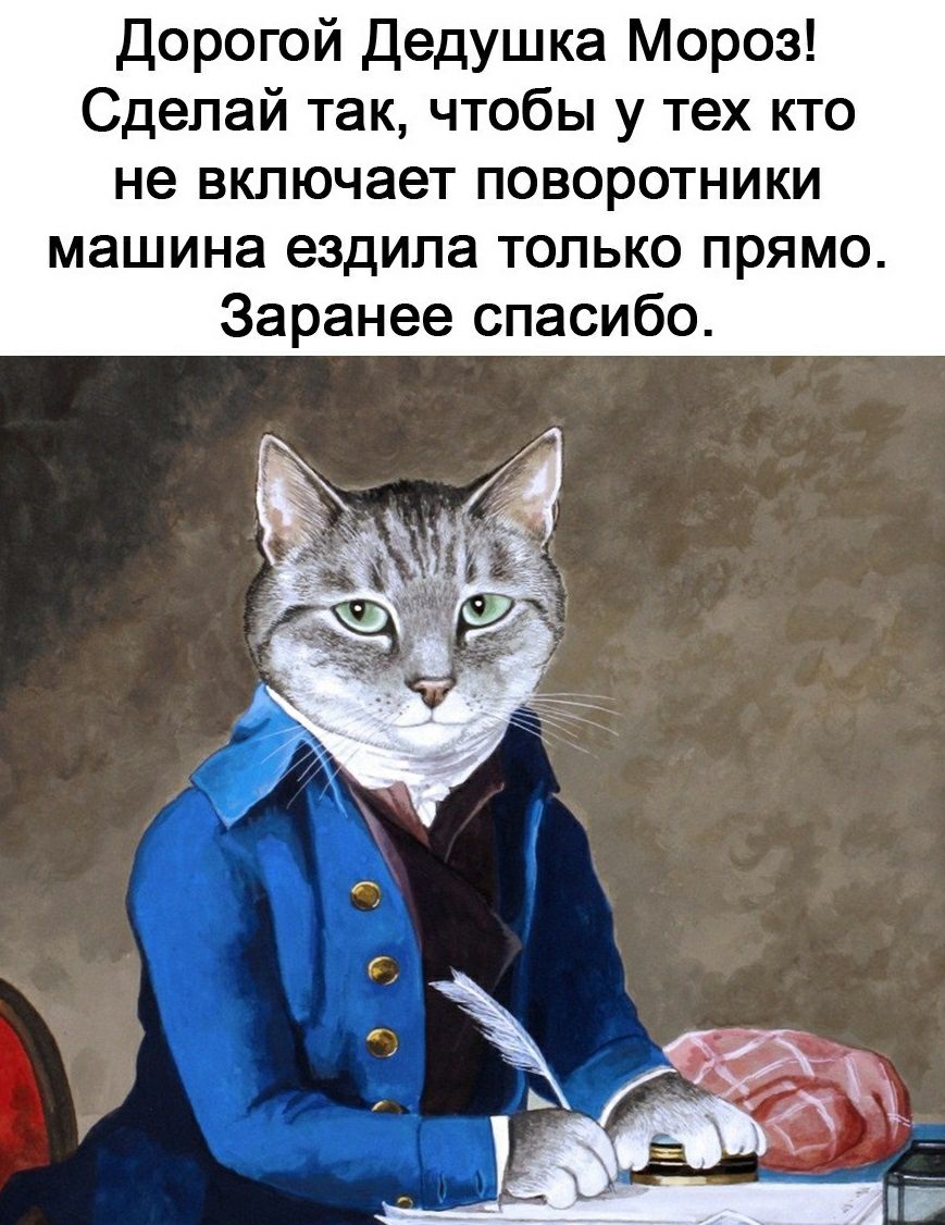 Дорогой Дедушка Мороз Сделай так чтобы у тех кто не включает поворотники машина ездила только прямо Заранее спасибо