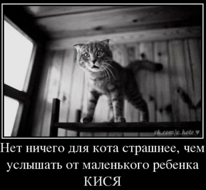 НСТ НИЧСГО ДЛЯ кота СТРЗШНСС ЧСМ услышать от маленького ребенка КИСЯ