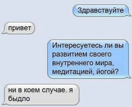 привет ни в коем случае я быдло