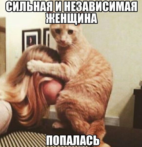 а