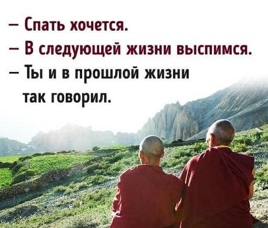 Спать хочется В следующей жизни выспимся Ты и в прошлой жизни так говорил