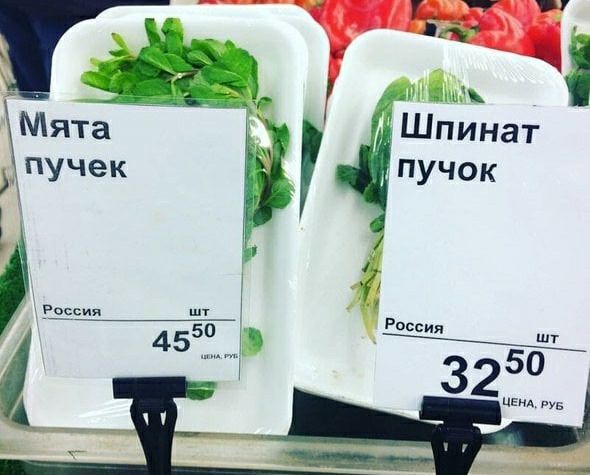 Мята пинат пучек пучок Ш ще Ро __ 455139