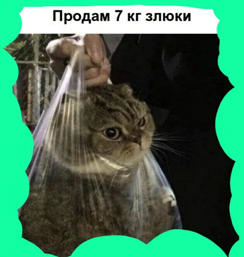 Продам 7 кг злюки