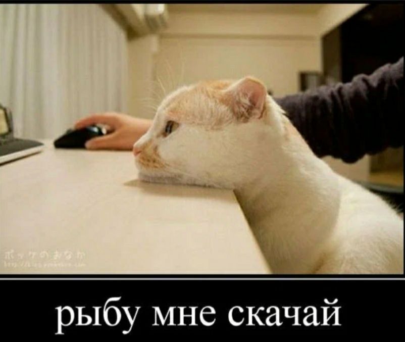 рыбу мне скачай