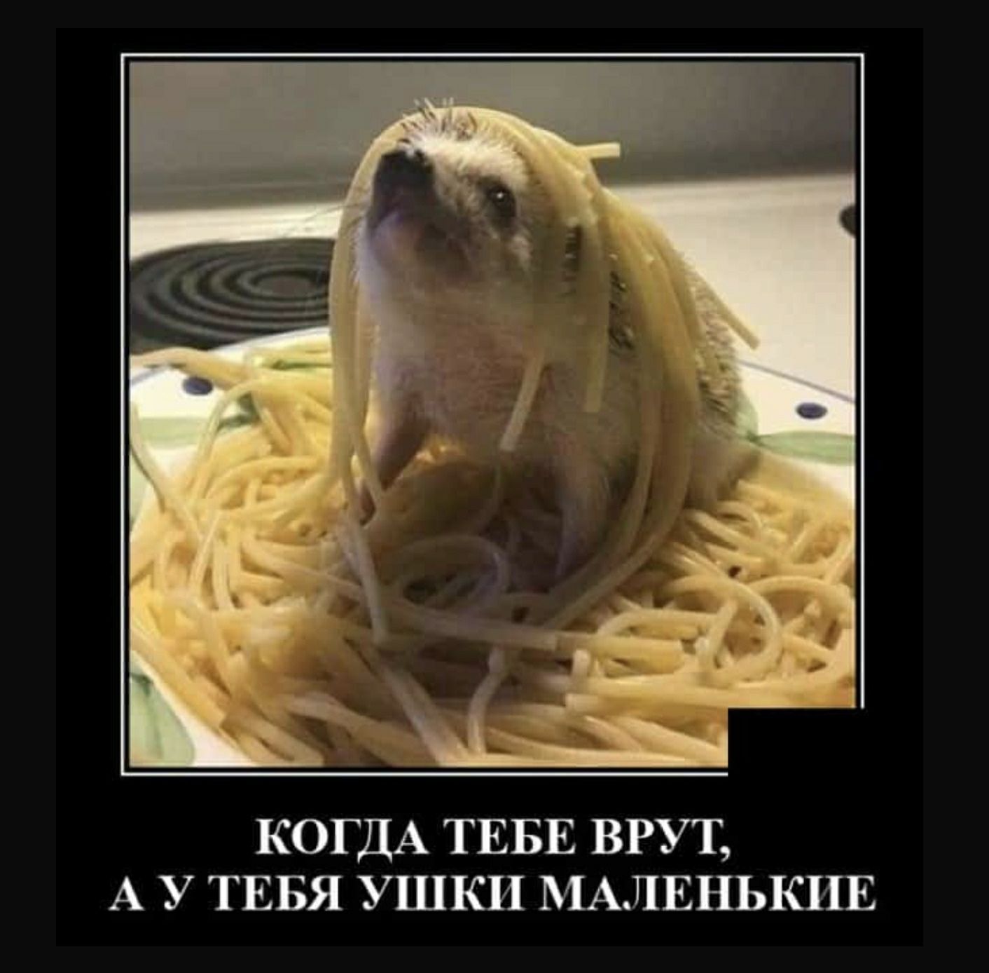 Когда тебе врут, а у тебя ушки маленькие
