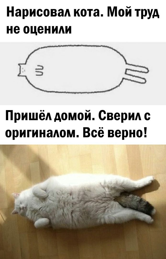 Нарисовал кота. Мой труд не оценили  пришёл домой. Сверил с оригиналом. Всё верно! Ы