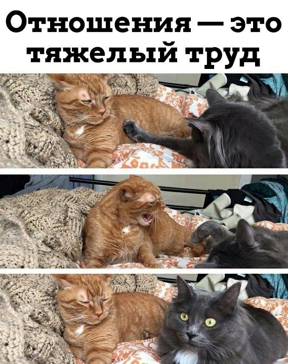 Отношения  это тяжелый труд ль