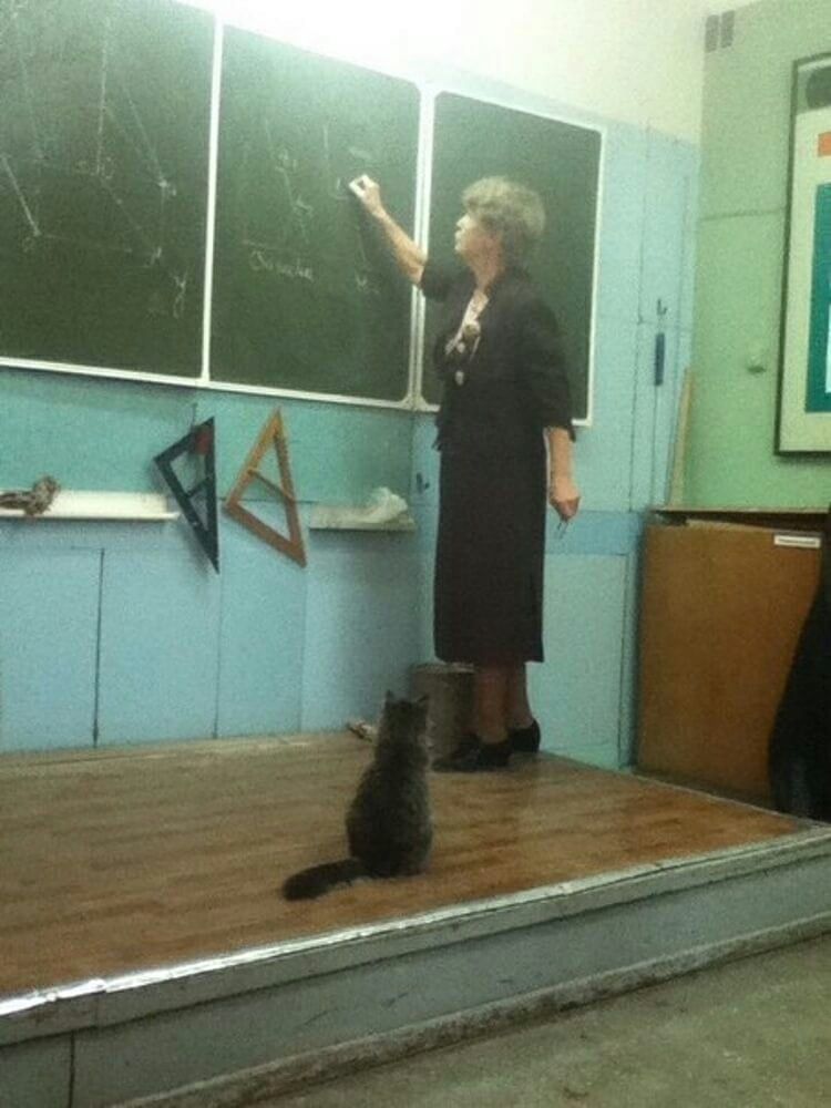 Сса