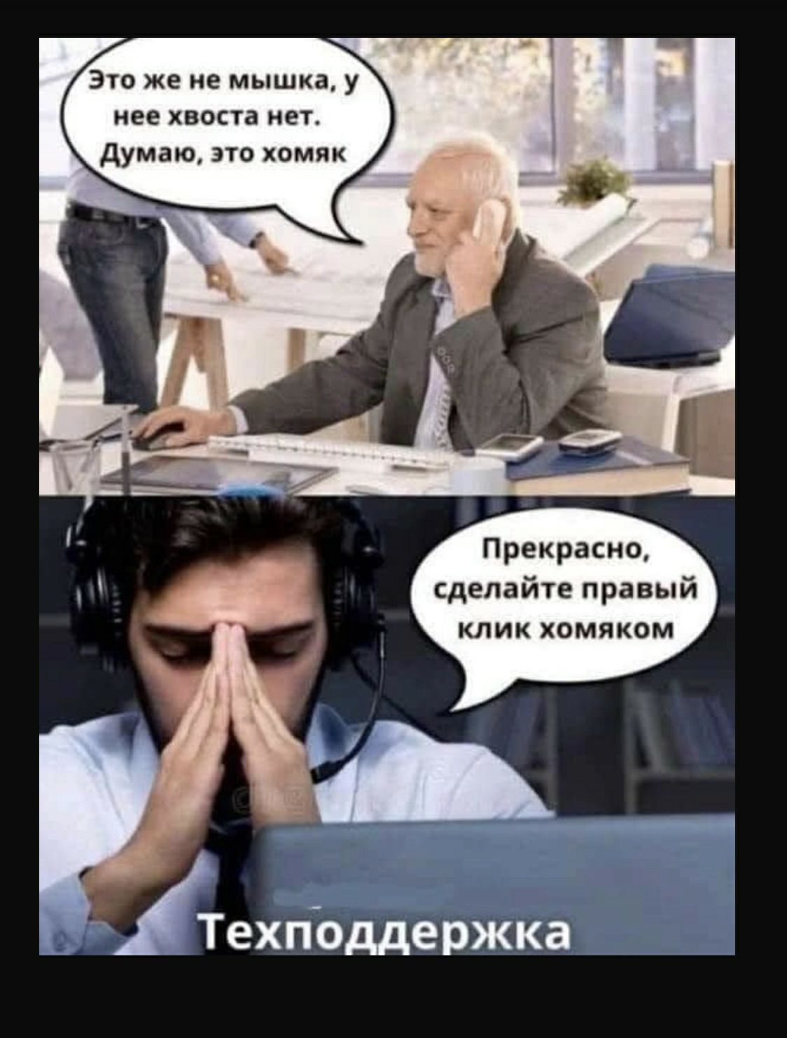 Это же не мышка у нее хвоста нет думаю это хомяк Прекрасно сделайте правый клик хомяком