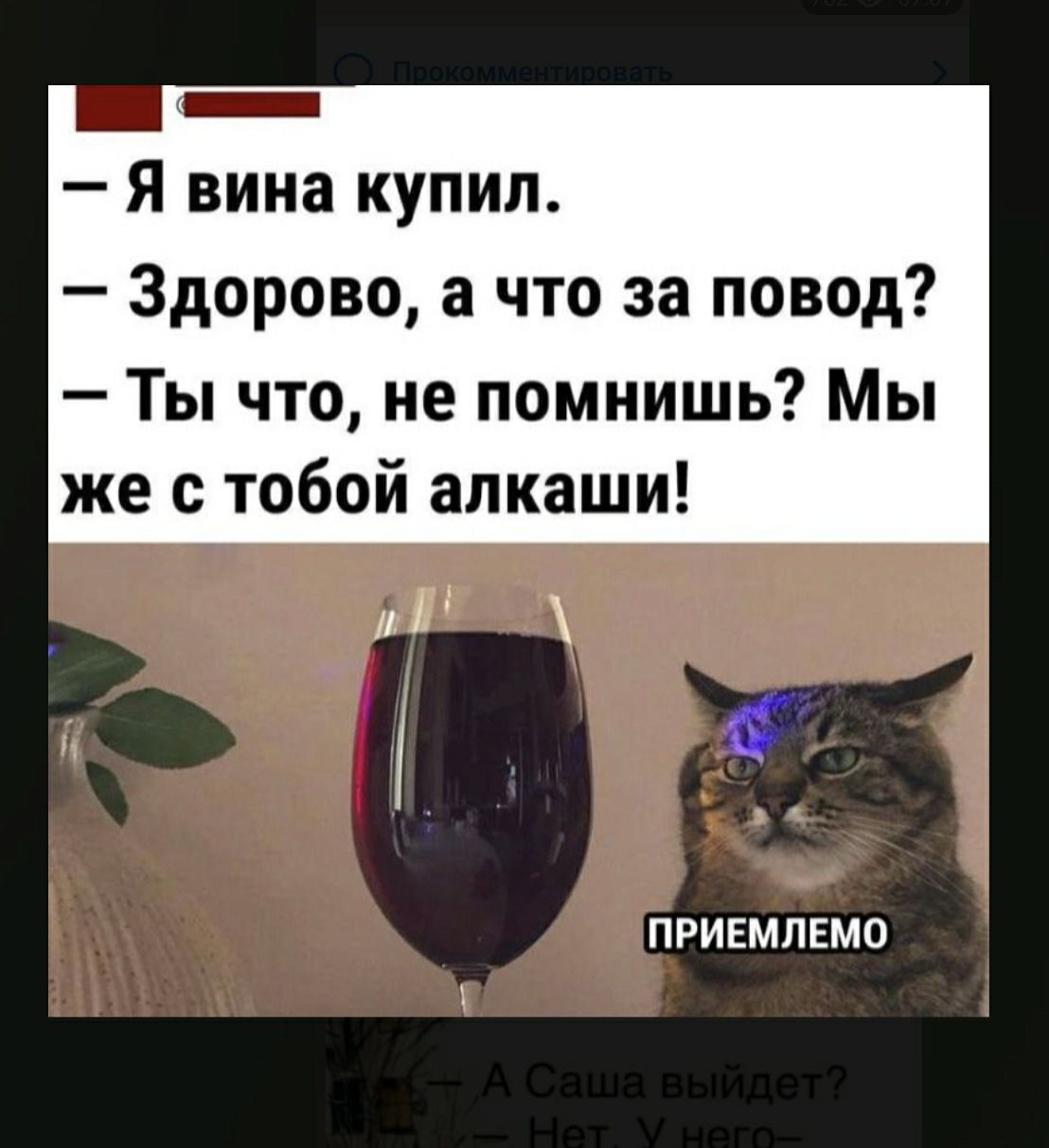 Я вина купил Здорово а что за повод Ты что не помнишь Мы же с тобой алкаши ПРИЕМЛЕМО