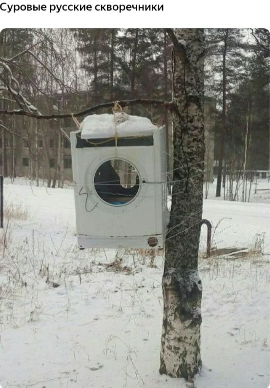 Суровые русские скворечники