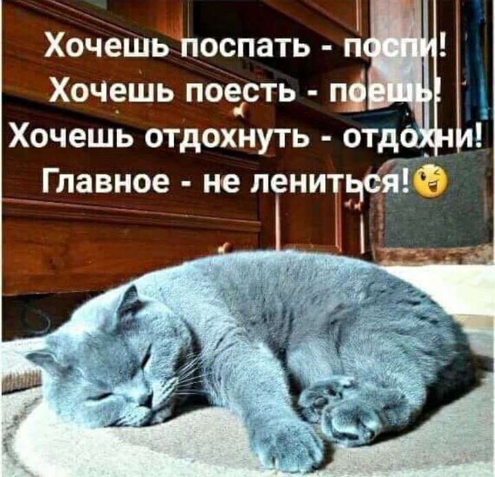 ХочешВпоспать п Хоч9шь поэсть ці Хочешь отдохнуть отд Главное не лени __ газ
