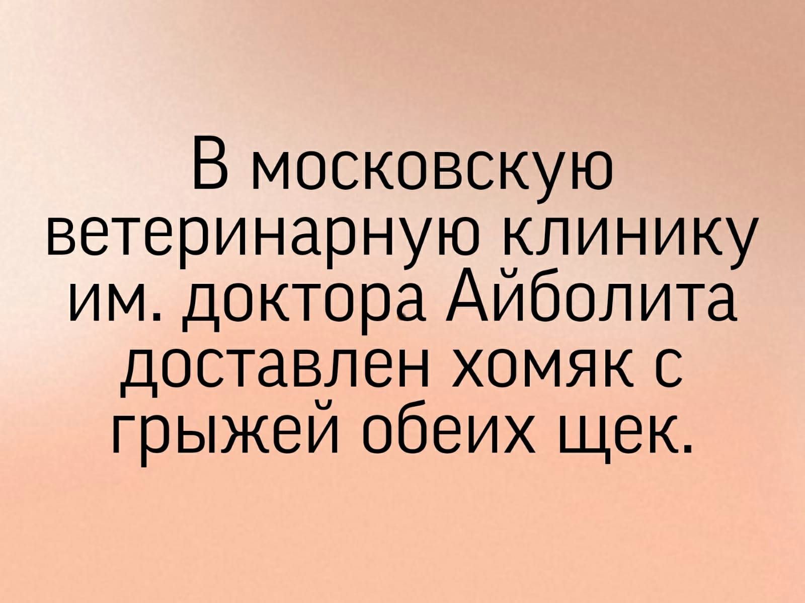 В московскую ветеринарную клинику им доктора Айболита доставлен хомяк с грыжей обеих щек