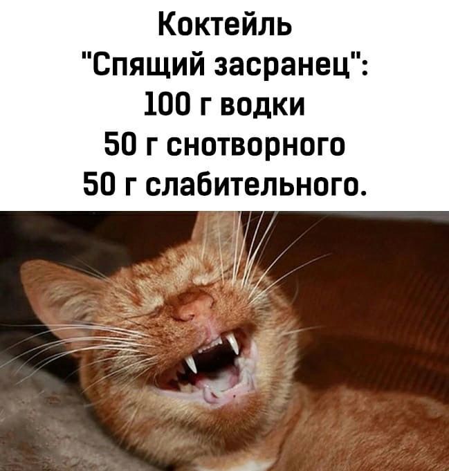 Коктейль Спящий засранец 100 г водки 50 г снотворного 50 г слабительного