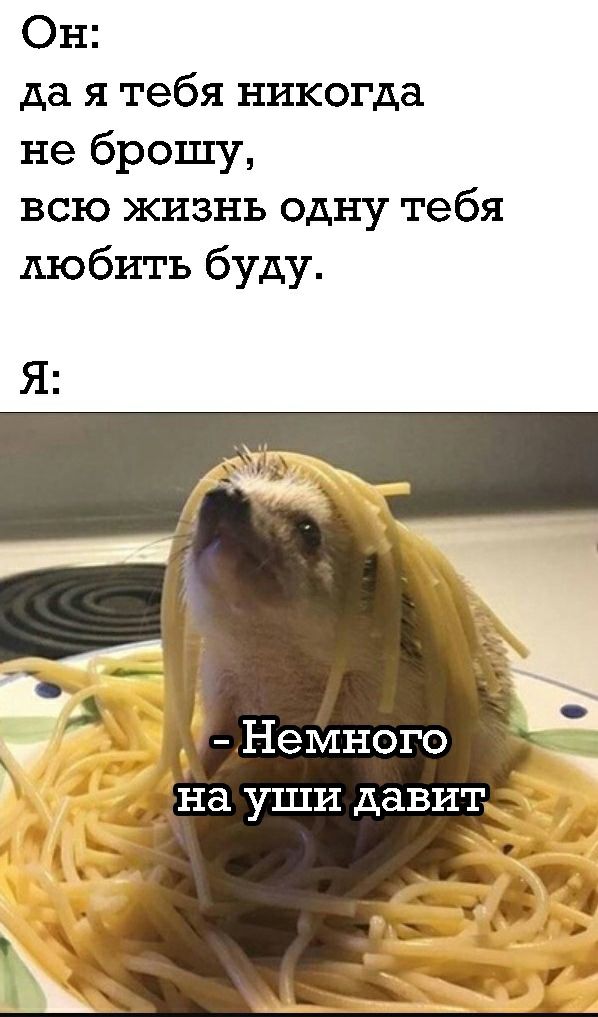 Он да я тебя никогда не брошу всю жизнь одну тебя любить буду