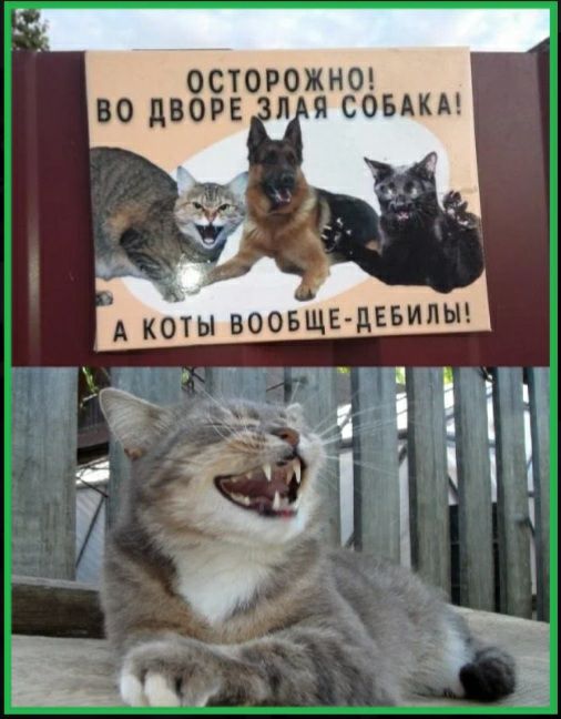 э  е  я собака! Ы вообщедебилы!