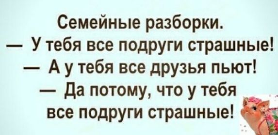 Семейные разборки У тебя все подруги страшные А у тебя все друзья пьют да потому что у тебя все подруги страшные