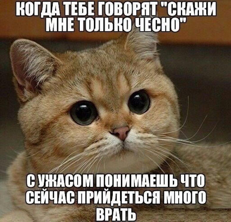 НШдА ТЕБЕ ПіВііРіП ВНАЖИ МНЕ топыю ЧЕііШі В НАШ іИМАЕШЬ ЧТіі ВЕЙЧАВ ПРИЙДЕТЫЗА много БРАТЬ