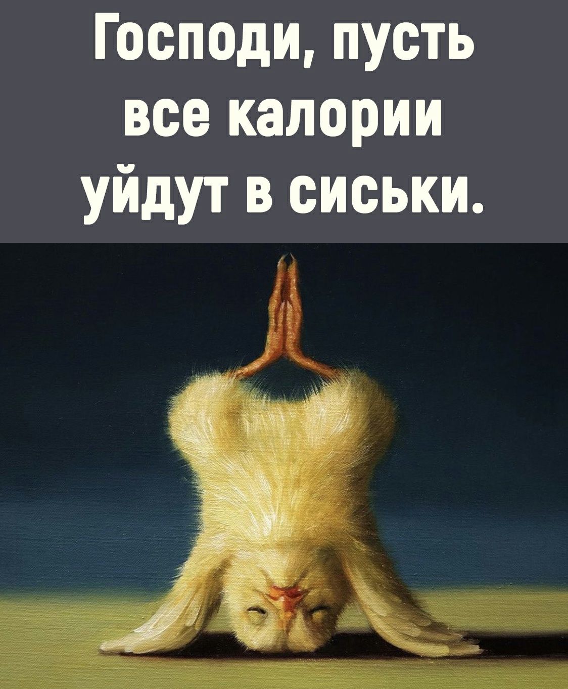 Госпщи пусть все калории уйдут в сиськи с а _ ъ