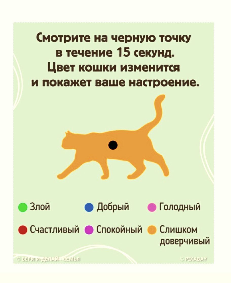 Смотрите на черную точку в течение 15 секунд Цвет кошки измените и покажет ваше настроение Злой Добрый Голодный Счастливый Спокойный Слишком доверчивый