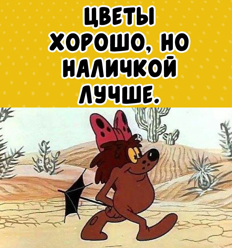 цветы хорошо но нААичкои