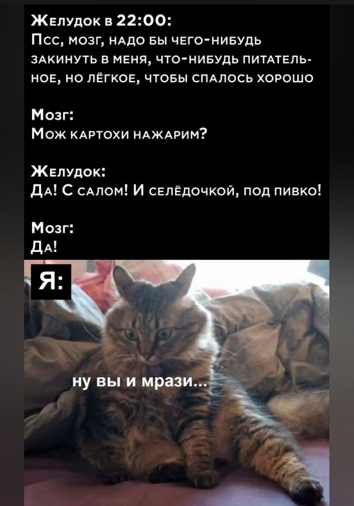 Желудок в 2200 Псс мозг НАДО вы чего нивудь ЗАКИНУТЬ в меня что нивудь ПИТАТЕЛЬ нов но лёгкое чтовы СПАЛОСЬ хорошо Мозг Мож КАРТОХИ НАЖАРИМ Желудок ДА С САлом И свлёдочкой под пивко Мозг ДА